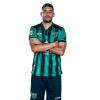 Player cutout