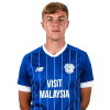 Player cutout