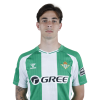 Player cutout