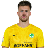 Player cutout