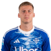 Player cutout