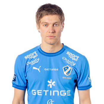 Birnir Ingason profile image