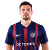 Player cutout