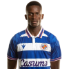 Player cutout