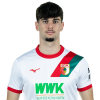 Player cutout