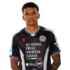 Player cutout