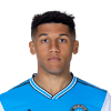 Player cutout