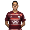 Player cutout