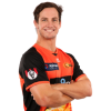 Player cutout