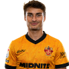 Player cutout