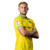 Player cutout