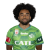 Player cutout