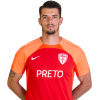 Player cutout