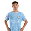 Player cutout