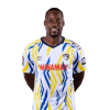 Player cutout