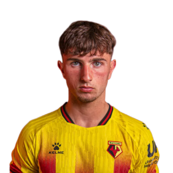 Rocco Vata profile image