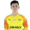 Player cutout