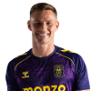 Player cutout