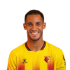 Player cutout