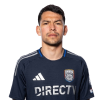 Player cutout
