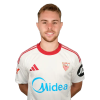Player cutout
