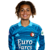 Player cutout