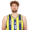 Player cutout