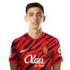 Player cutout