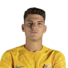 Player cutout