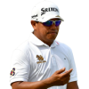 Player cutout
