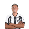 Player cutout