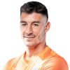 Player cutout