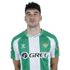 Player cutout