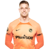 Player cutout