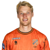 Player cutout