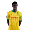 Player cutout
