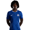 Player cutout