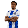 Player cutout