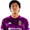 Player cutout