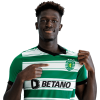 Player cutout