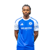 Player cutout