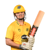 Player cutout
