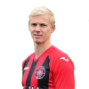 Player cutout