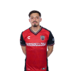 Player cutout
