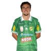 Player cutout