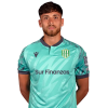 Player cutout