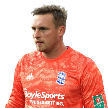 David Stockdale portrait