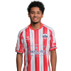 Player cutout