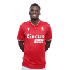 Player cutout