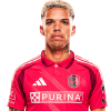 Player cutout